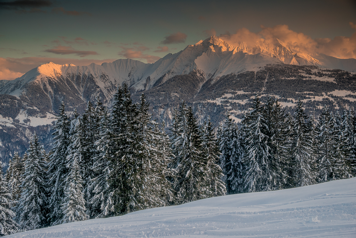 Schneebedeckte Fichten und Berggipfel bei Sonnenaufgang in Laax, Graubünden, Schweiz – Jan Geerk Fotograf Basel