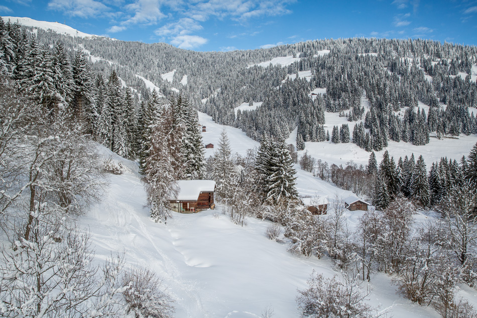 Verschneite Berglandschaft mit Chalets und Fichten bei Laax, winterliche Alpenregion Graubünden, Schweiz – Jan Geerk Fotograf Basel