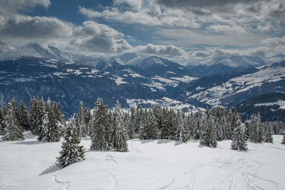 Schneebedeckte Waldlandschaft mit verschneiten Fichten in Laax, Graubünden im Winter – Jan Geerk Fotograf Basel