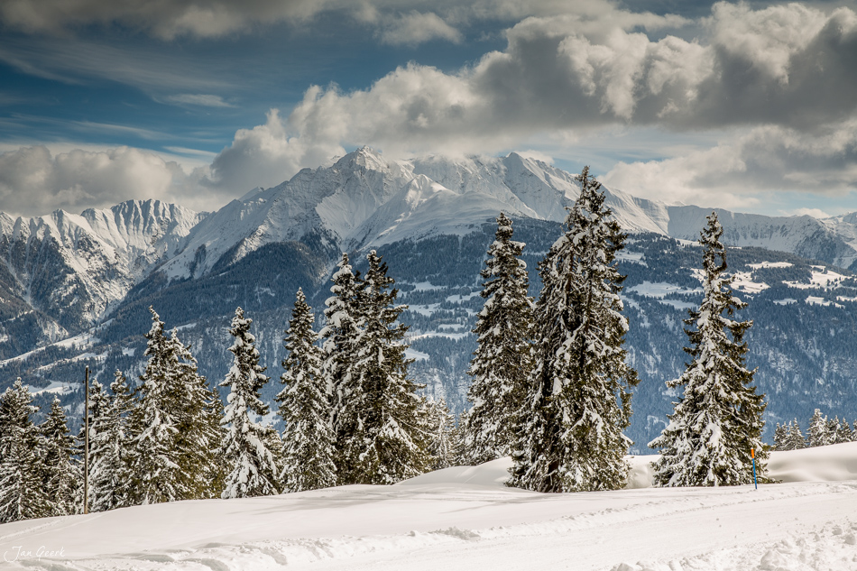 Schneebedeckte Fichtenwälder und Berggipfel in Laax, winterliche Berglandschaft Graubünden Schweiz – Jan Geerk Fotograf Basel