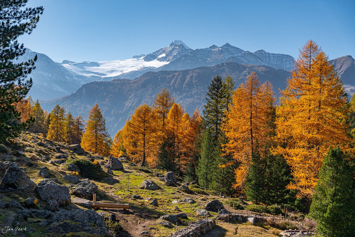 Herbstliche Lärchenwälder am Lago di Saoseo mit schneebedeckten Gipfeln, Herbstlicht Graubünden Schweiz – Jan Geerk Fotograf Basel