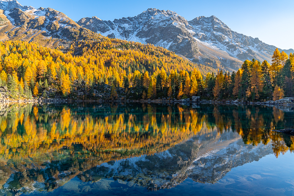 Lago di Saoseo im Herbst mit golden gefärbten Lärchen und verschneiten Bergen, Graubünden Schweiz – Jan Geerk Fotograf Basel
