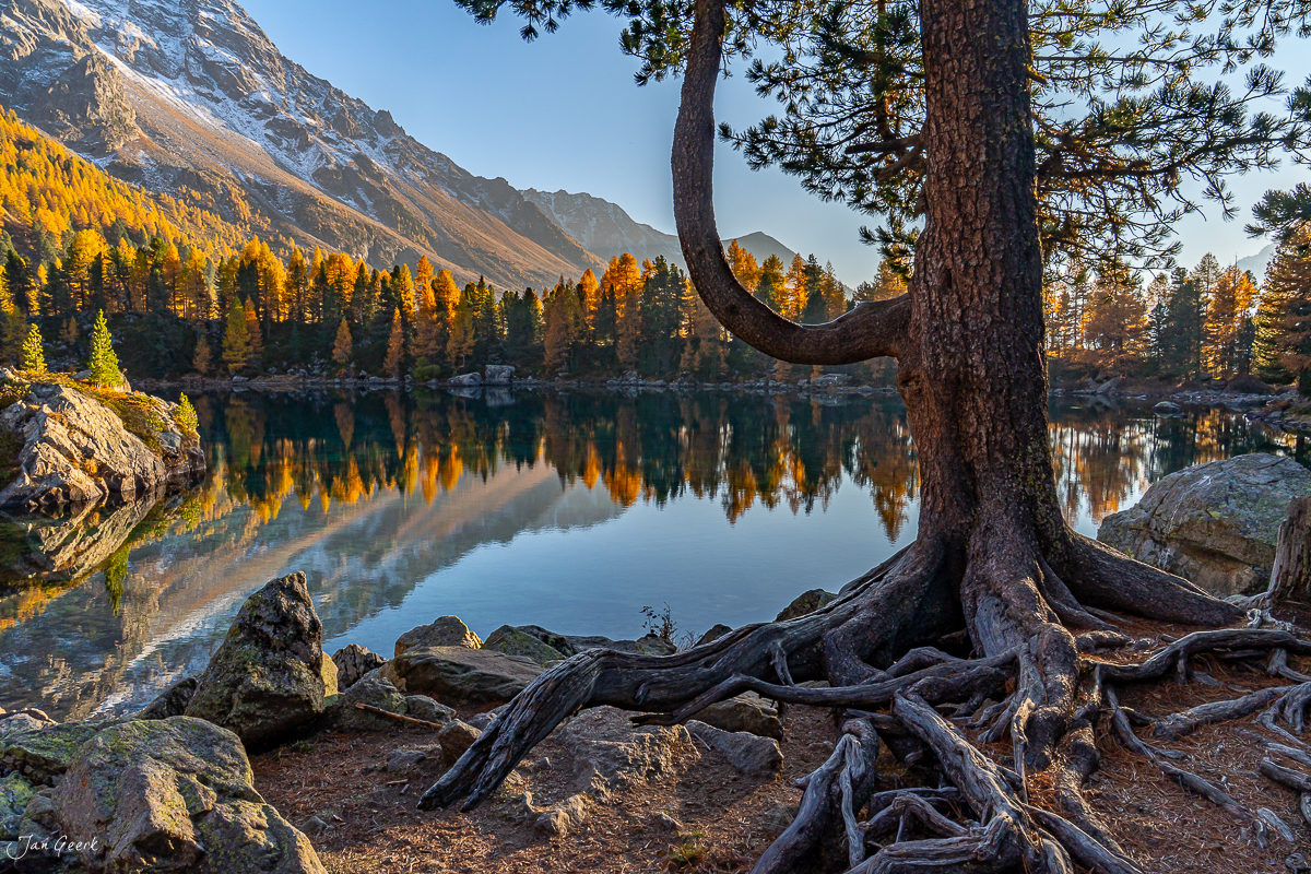 Lago di Saoseo mit Lärchenbäumen in Herbstfarben, schneebedeckte Berge spiegeln sich im See, Kantlicht Oktober Graubünden Schweiz Jan Geerk Fotograf Basel