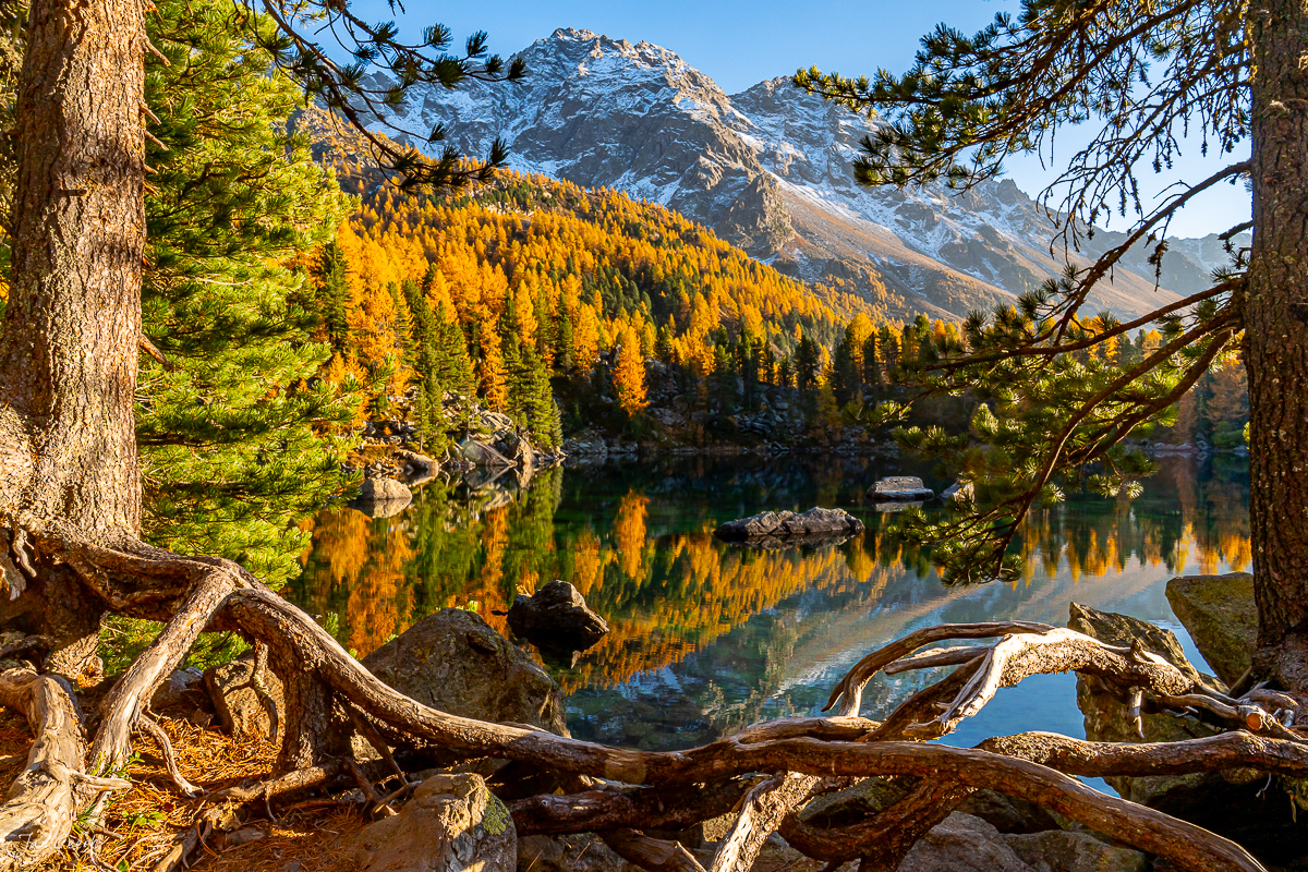 Herbstlicher Bergsee Lago di Saoseo mit spiegelndem Wasser, golden gefärbten Lärchen und schneebedecktem Berg in Graubünden, Schweiz – Jan Geerk Fotograf Basel