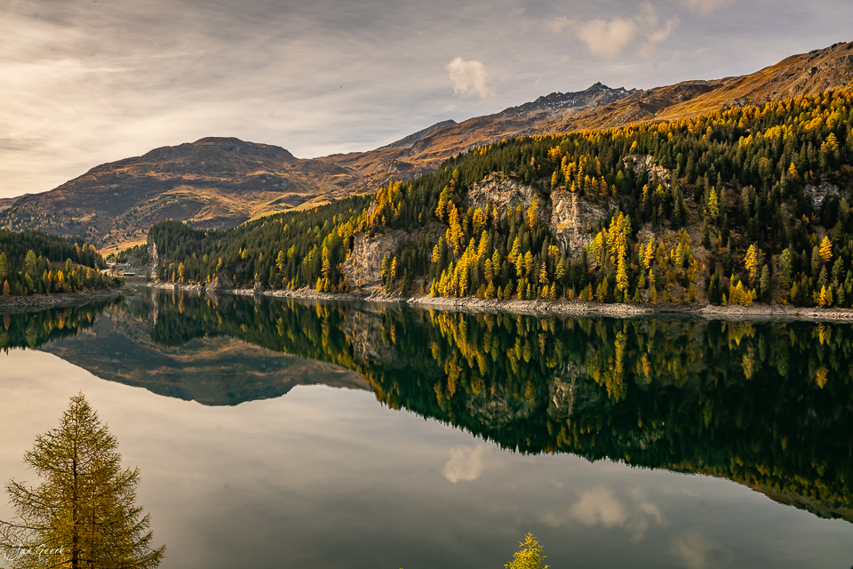 Spiegelglatter Bergsee mit Lärchenwäldern in Herbstfarben am Julierpass, Graubünden Schweiz – Jan Geerk Fotograf Basel