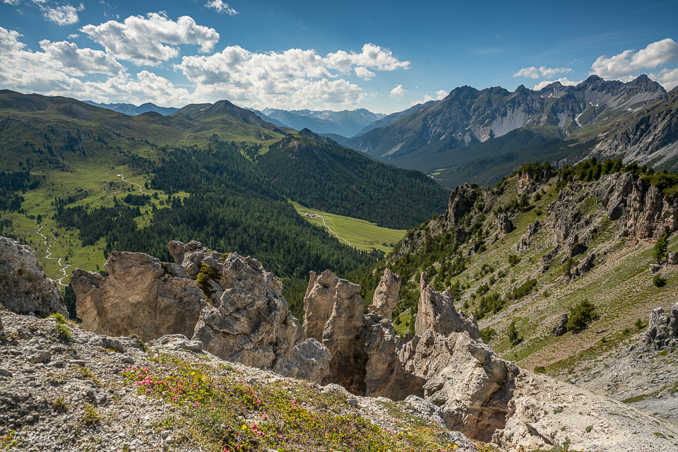 Alpenlandschaft mit Alpenrosen und Felsenformationen im Nationalpark Schweiz – Jan Geerk Fotograf Basel