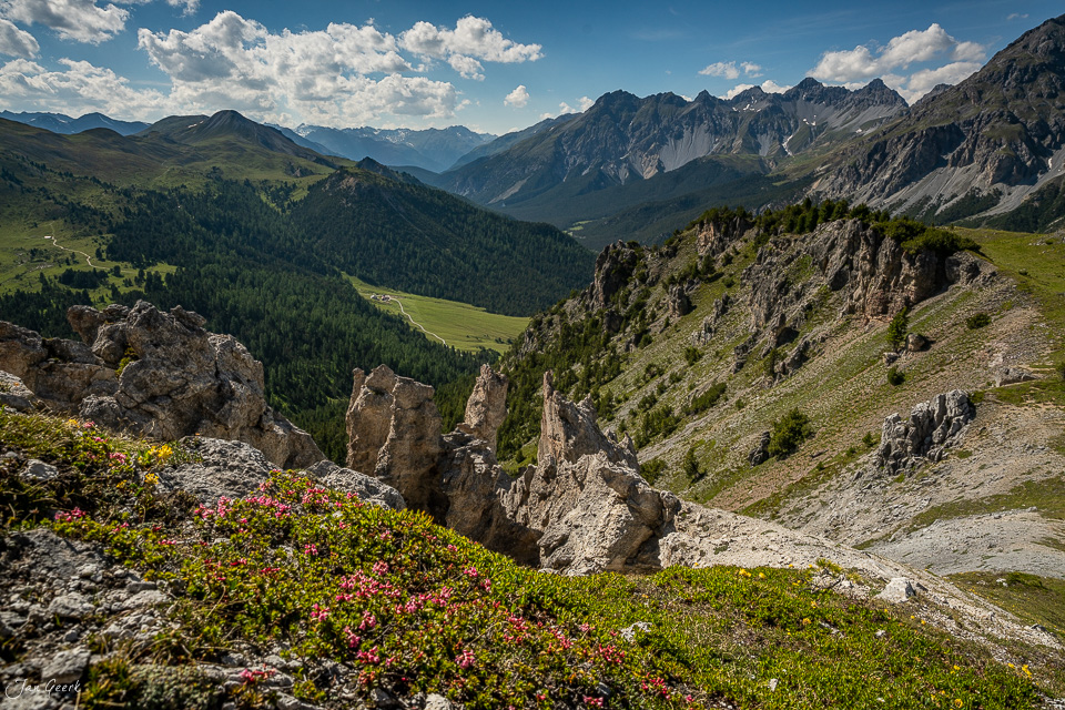 Alpenrosen und Felsenlandschaft im Nationalpark Ofenpass mit Bergketten im Hintergrund, Sommerliche Alpenlandschaft Graubünden Schweiz – Jan Geerk Fotograf Basel