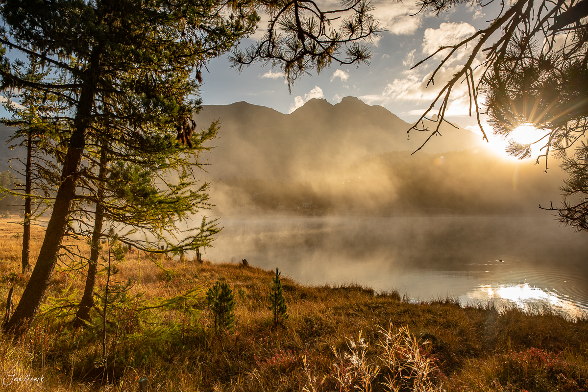 Lärchenbäume und Bergnebel am Stazersee in Sankt Moritz, Engadin Graubünden Schweiz – Jan Geerk Fotograf Basel