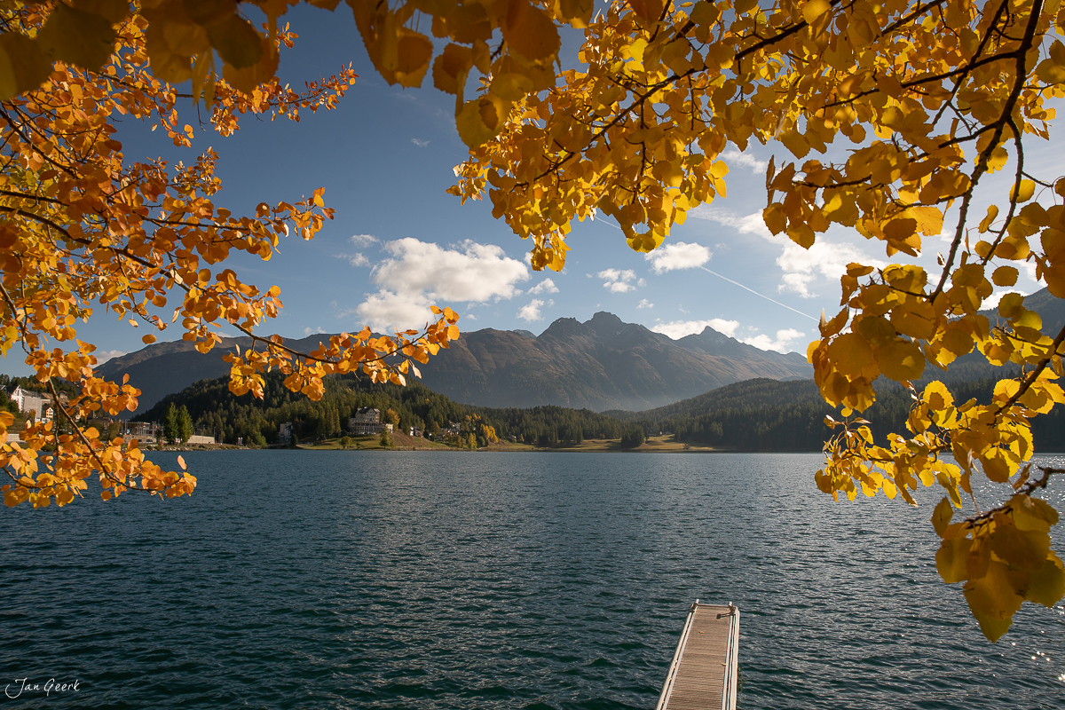 Herbstliche Birken rahmen See Sankt Moritz ein, Berge spiegeln sich im Wasser, Graubünden Schweiz – Jan Geerk Fotograf Basel
