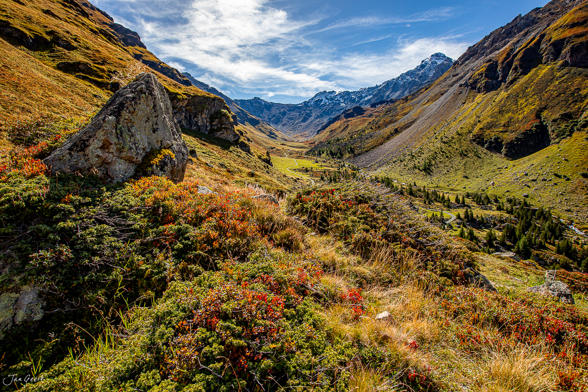 Herbstliche Berglandschaft mit buntem Alpenflora in Val Derr Savognin, Graubünden Schweiz – Jan Geerk Fotograf Basel