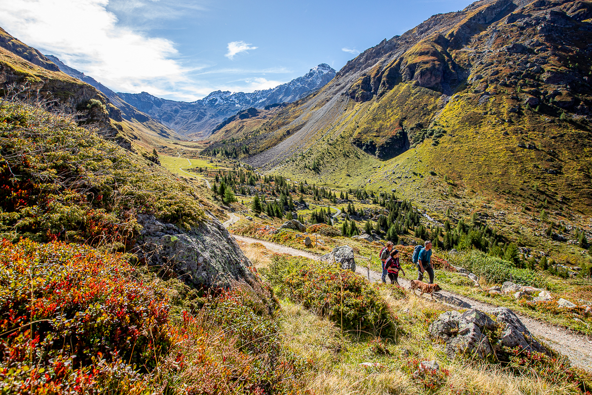 Wanderer auf Bergpfad im Val d'Err Surses mit Herbstlaubfärbung und Berggipfeln, Graubünden Schweiz – Jan Geerk Fotograf Basel