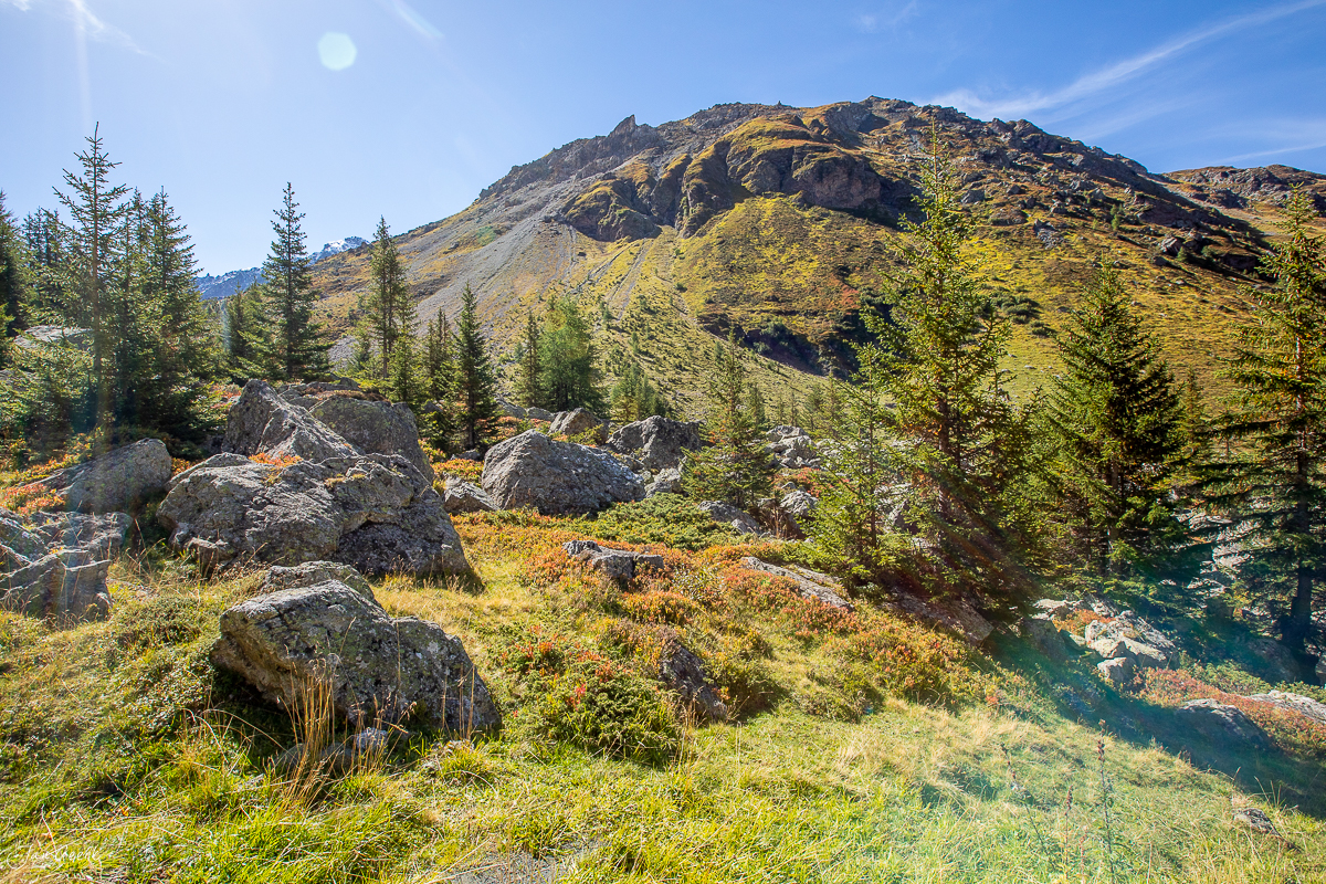 Alpines Landschaftsbild mit Lärchenwäldern und Felsbrocken auf Savognin Val Derr, Sommerlichtverhältnisse, Graubünden Schweiz Jan Geerk Fotograf Basel