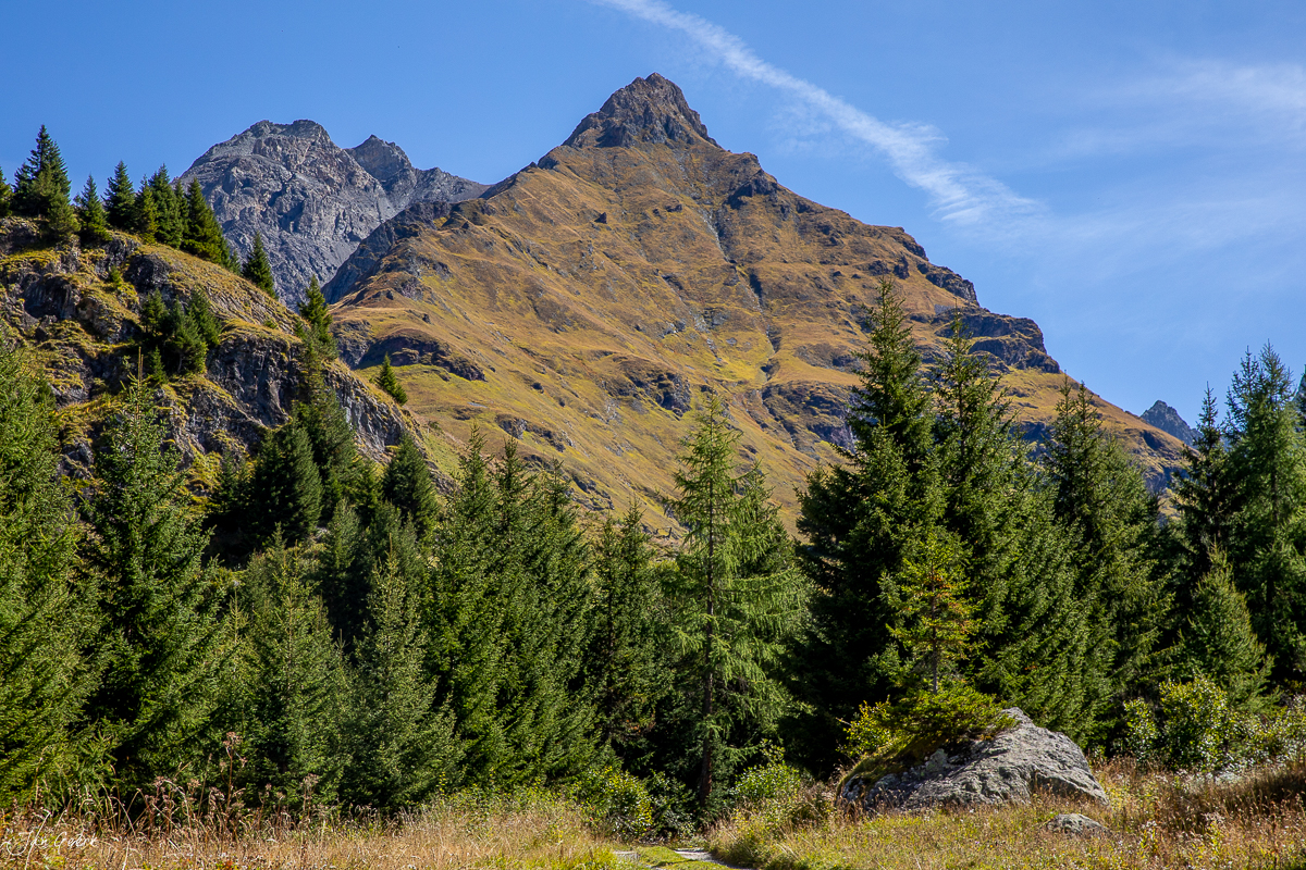 Berghang mit Lärchwald, Val Derr, Herbststimmung Graubünden Schweiz – Jan Geerk Fotograf Basel