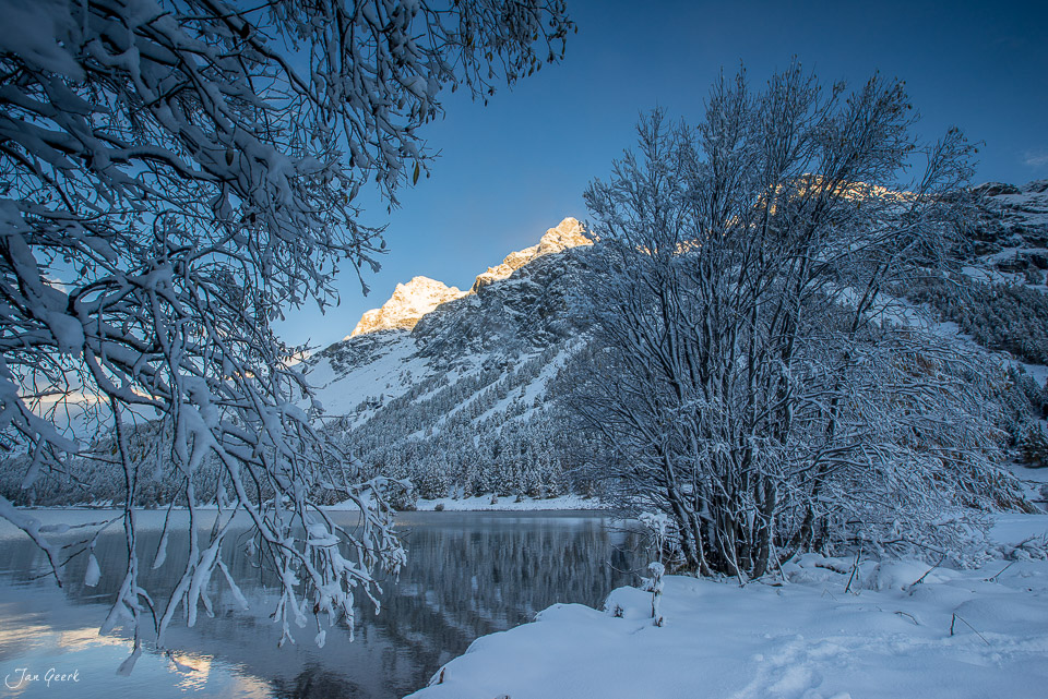 Silsersee im Winter mit schneebedeckten Bäumen und verschneiten Bergen in Graubünden Schweiz – Jan Geerk Fotograf Basel