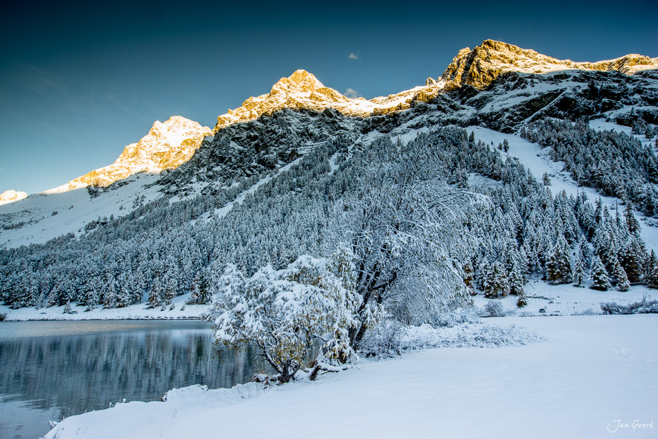 Schneebedeckter Silsersee mit verschneiten Fichten und beleuchteten Bergspitzen im Winter in Graubünden Schweiz – Jan Geerk Fotograf Basel