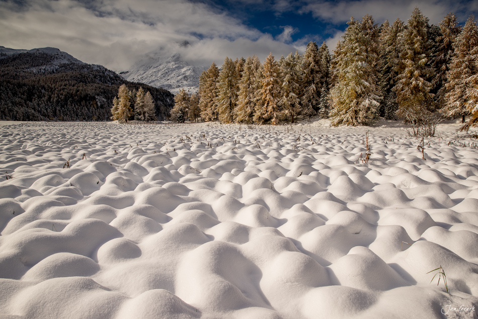 Schneebedeckter Silsersee mit winterlichen Strukturen, verschneite Lärchenwälder und Bergpanorama im Engadin Graubünden Schweiz – Jan Geerk Fotograf Basel