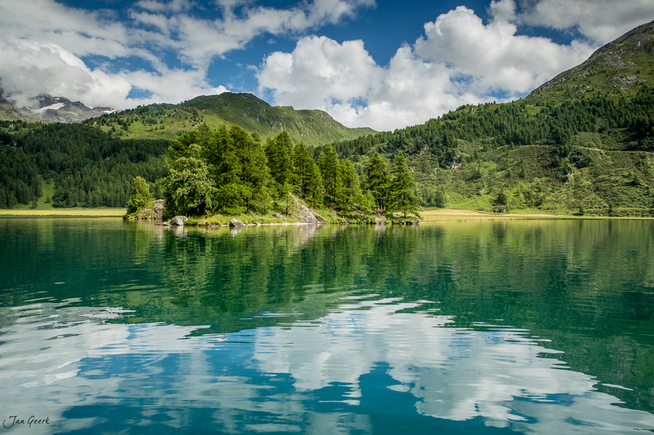 Silsersee mit grünen Wäldern und Bergpanorama an sonnigem Sommertag, Engadin Graubünden Schweiz – Jan Geerk Fotograf Basel