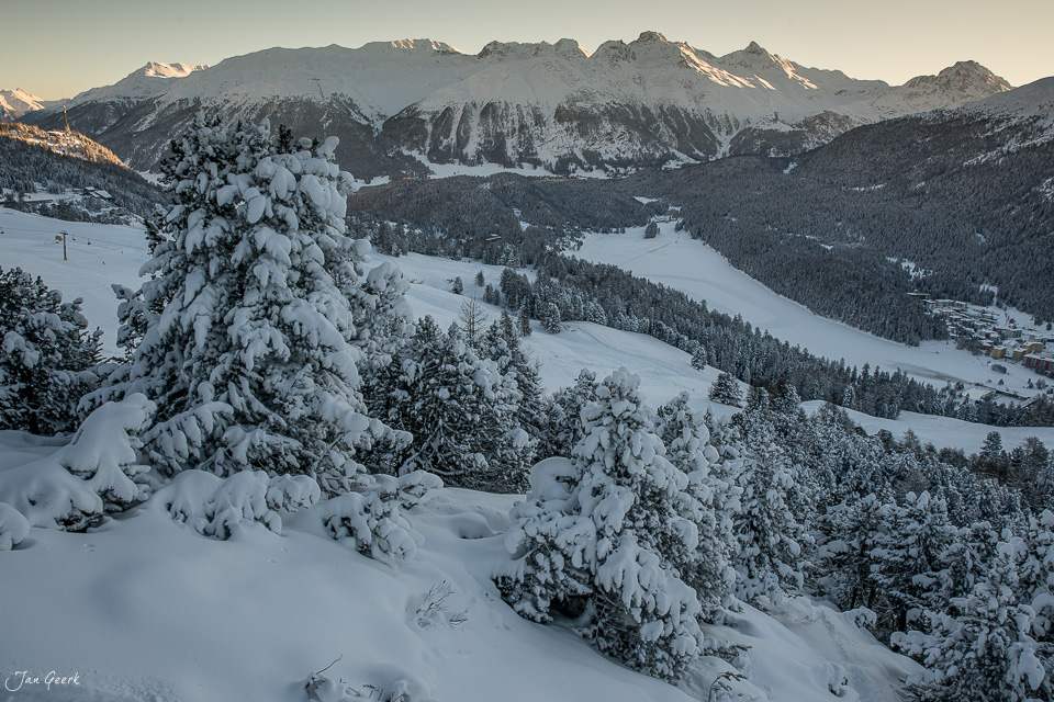 Schneebedeckte Fichten und Bergpanorama in St. Moritz, Winterlandschaft Engadin Graubünden Schweiz – Jan Geerk Fotograf Basel