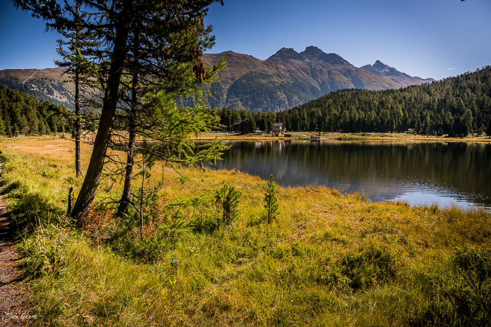 Bergsee mit Lärchenwäldern und Alpenpanorama am Stazersee in Graubünden Schweiz – Jan Geerk Fotograf Basel
