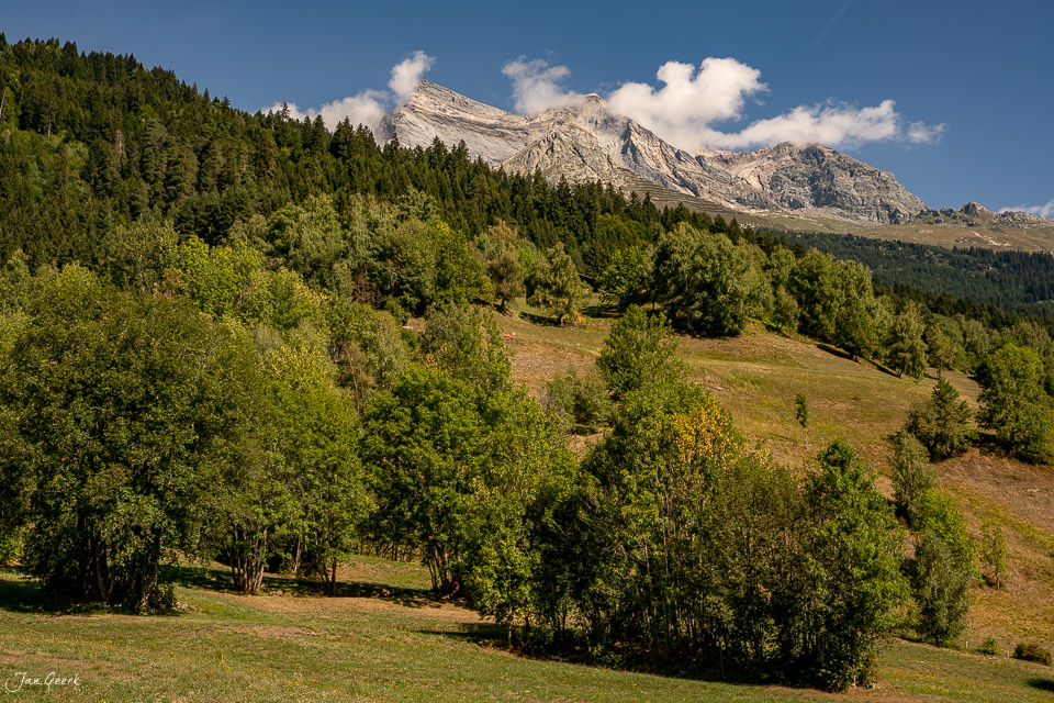 Berglandschaft Truns Surselva mit grünen Wäldern und schneebedecktem Gipfel im Sommer, Graubünden Schweiz – Jan Geerk Fotograf Basel