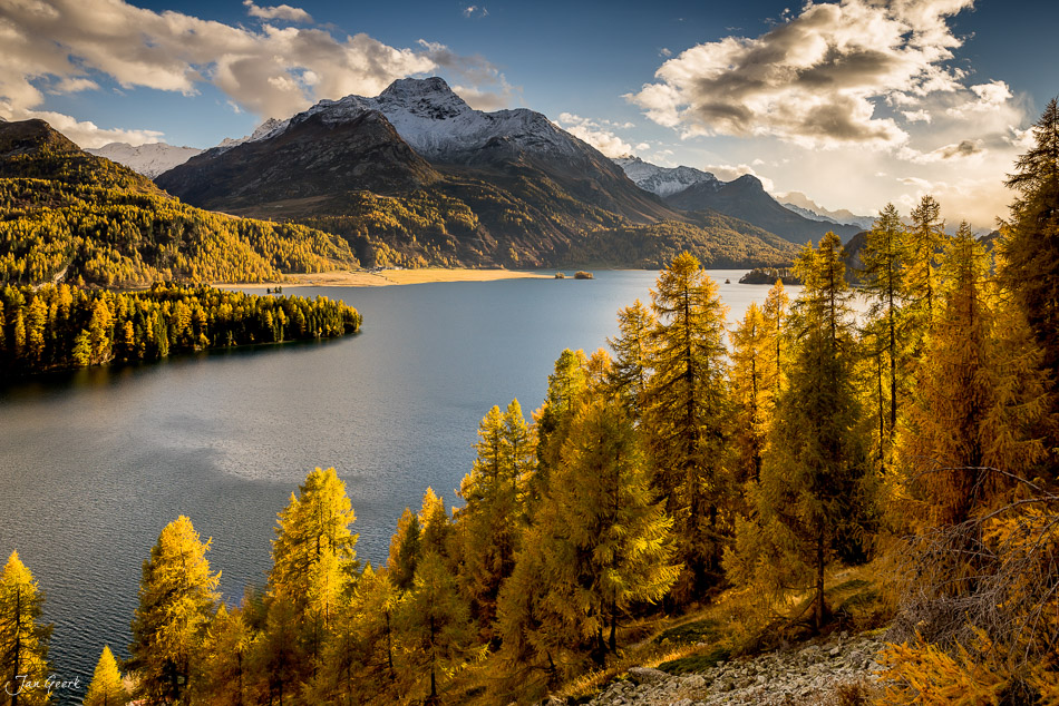 Herbstlicher Silsersee mit golden gefärbten Lärchen, schneebedeckten Bergen und blauem Wasser im Engadin Graubünden Schweiz – Jan Geerk Fotograf Basel
