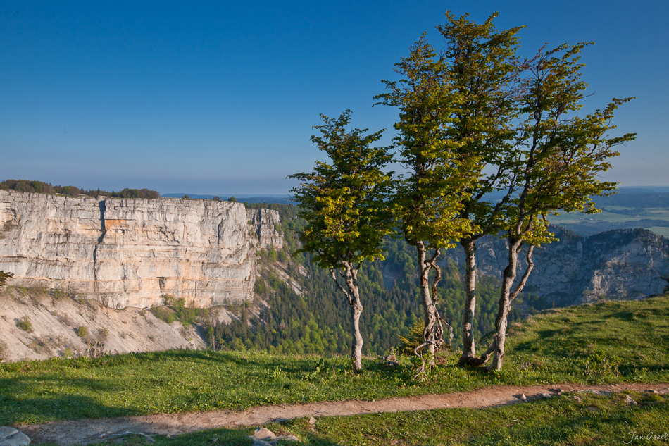 Creux Jura Kalkfelsen Alpstein Mittag Sonnenschein Schweiz Jan Geerk Fotograf Basel