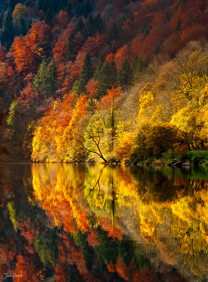 Herbstwald Doubs Spiegelung Fluss Jura Schweiz – Jan Geerk Fotograf Basel