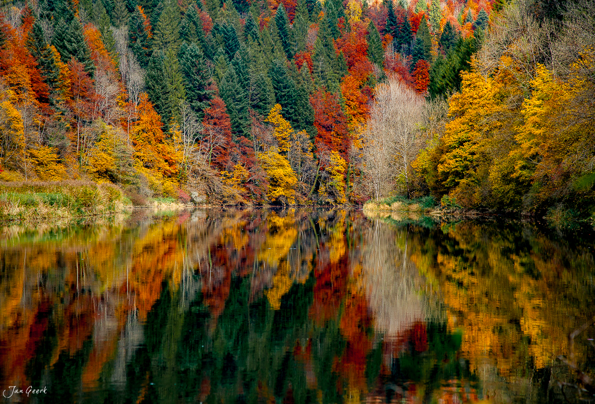 Doubs Fluss Herbstwald Spiegelung goldene Laubfärbung Jura Schweiz Jan Geerk Fotograf Basel