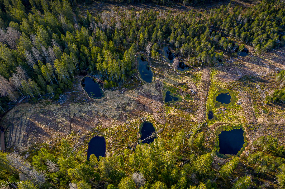 Moorsee Luftaufnahme Étang de la Gruère Franches-Montagnes Frühling Jura Schweiz Jan Geerk Fotograf Basel