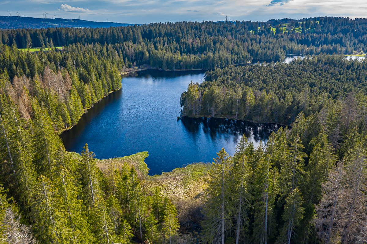Alpiner See umgeben von Nadelwald im Frühling, Doubs-Region Jura Schweiz – Jan Geerk Fotograf Basel