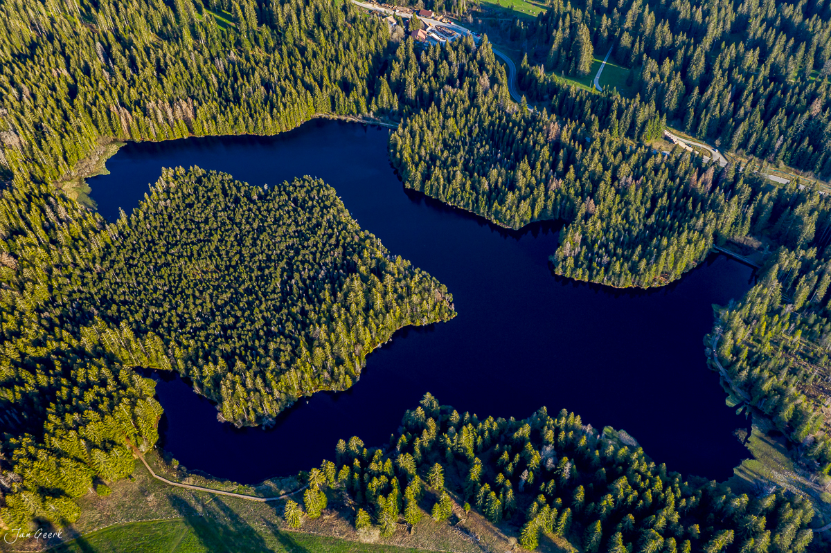 Luftaufnahme Étang de la Gruère mit Nadelwald und Frühlingslicht in den Franches-Montagnes Jura Schweiz – Jan Geerk Fotograf Basel