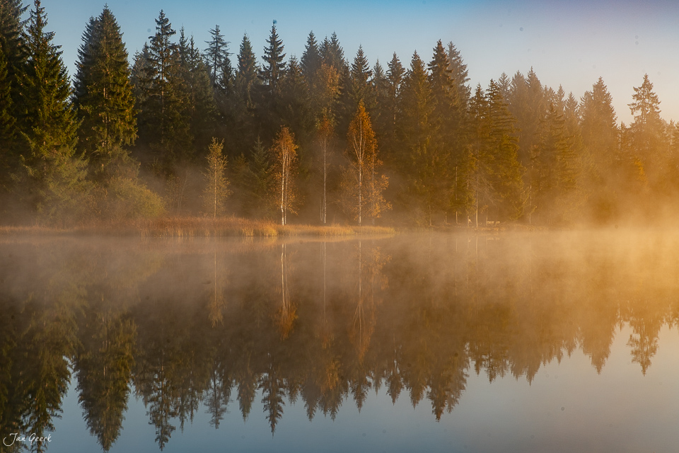 Morgennebel über See mit Waldspiegelung Jura Herbst Schweiz Jan Geerk Fotograf Basel