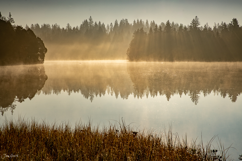 Nebel über dem Seeufer mit Nadelwald und Schilf in der Étang de la Gruère Jura Schweiz – Jan Geerk Fotograf Basel