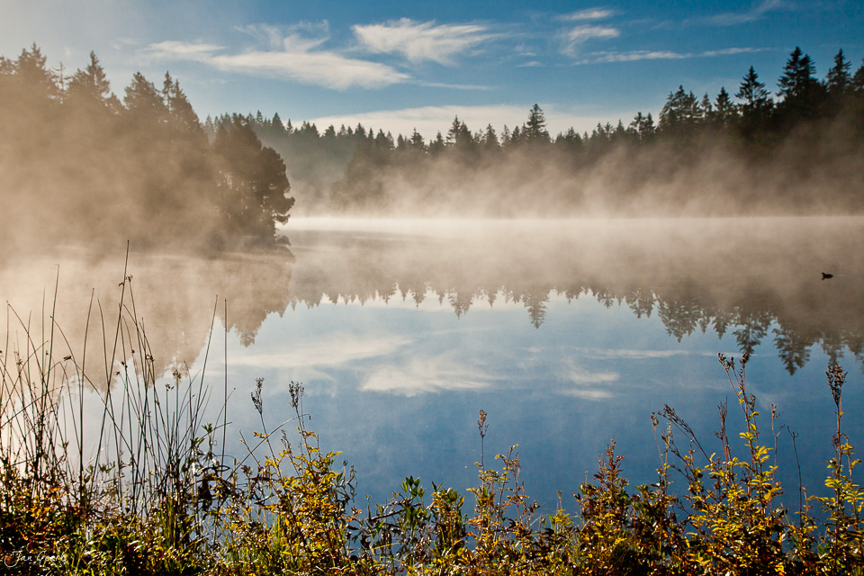Herbstlicher Nebel über Etang de la Gruère Franches Montagnes Jura Schweiz Jan Geerk