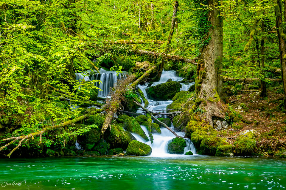 Wasserfall und grüner Bach in den Gorges de Pichoux im Jura Frühling Schweiz Jan Geerk Fotograf Basel
