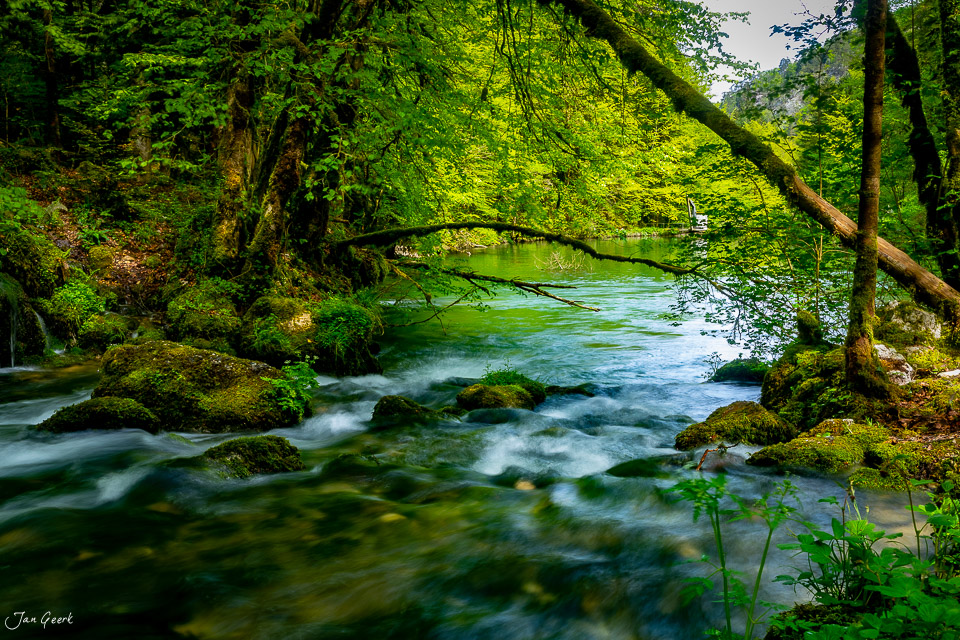 Moosiger Bergbach in den Gorges de Pichoux im Jura, Frühlingslicht, Westschweiz – Jan Geerk Fotograf Basel