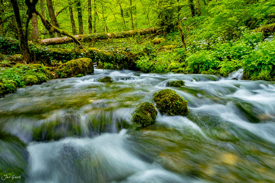 Moosbedeckter Bach in den Gorges-de-Pichoux im Frühling, Jura Schweiz – Jan Geerk Fotograf Basel