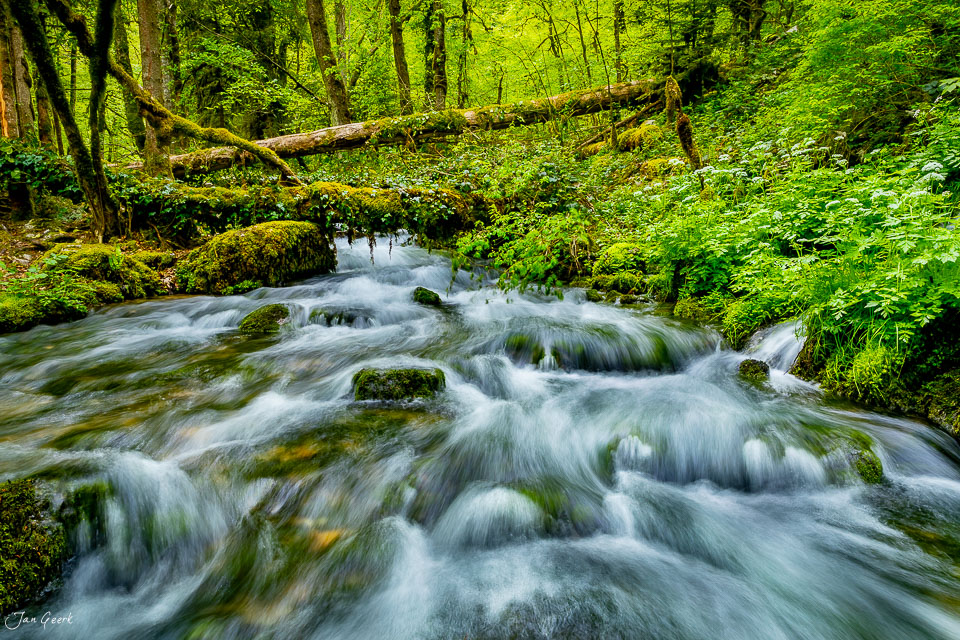 Wildes Gebirgsbächchen in den Gorges de Pichoux mit Moos bewachsenen Steinen, üppiger grüner Vegetation und umgestürzten Bäumen im Frühling, Jura Schweiz – Jan Geerk Fotograf Basel