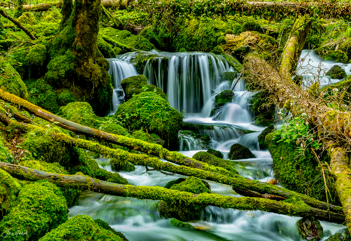 Wasserfall mit Moos bewachsenen Felsen und Baumstämmen in den Gorges de Pichoux, Frühling, Jura, Schweiz – Jan Geerk Fotograf Basel
