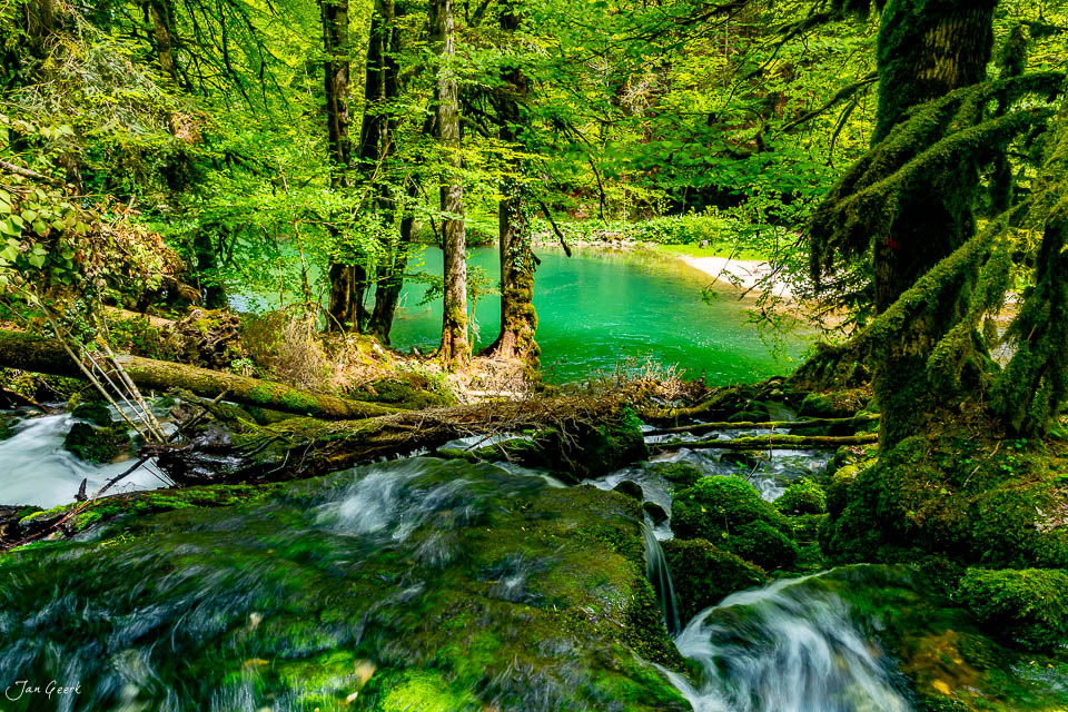 Waldbach mit grünem Wasser und Moos in den Gorges de Pichoux Jura Schweiz – Jan Geerk Fotograf Basel