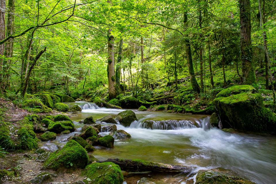 Bachlauf durch moosige Waldschlucht in Pichoux, grüne Frühlingsstimmung, Jura Schweiz – Jan Geerk Fotograf Basel