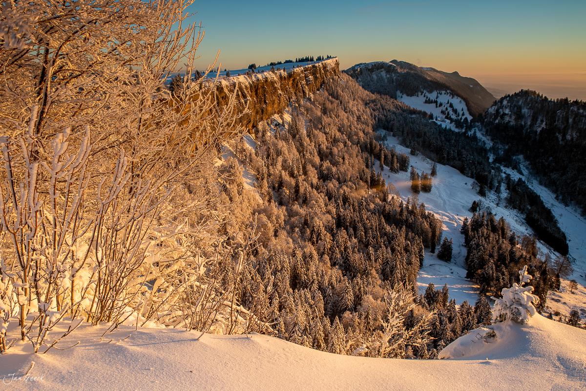 Winterlandschaft Grenchenberg mit verschneiten Lärchenbäumen im Goldlicht der Morgenröte, Jura Schweiz – Jan Geerk Fotograf Basel