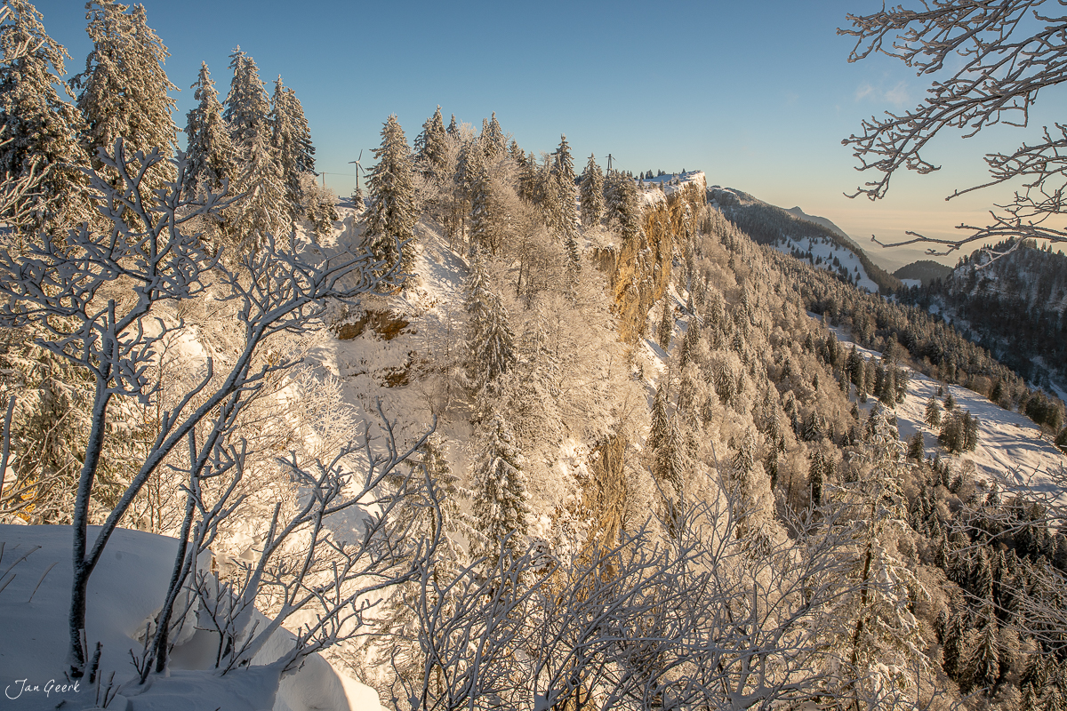 Raureif bedeckte Fichten am Grenchenberg im Morgenlicht, Jura Solothurn Schweiz – Jan Geerk Fotograf Basel