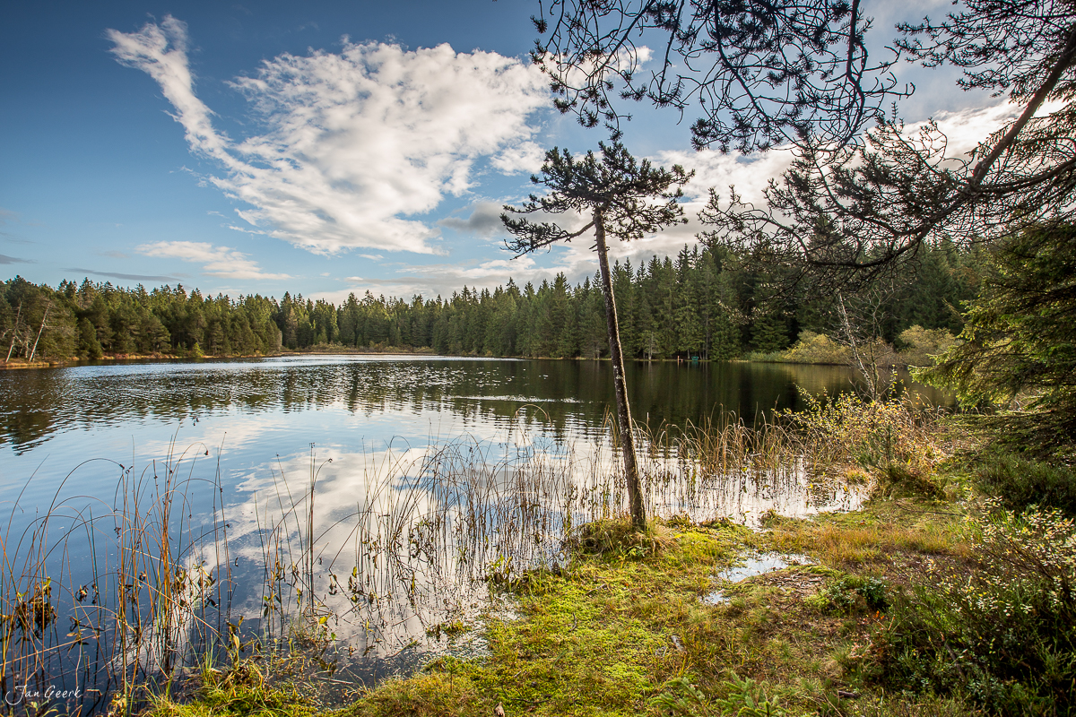 Stiller Bergsee im Jura mit Föhrenbäumen, Herbstlicht und Spiegelung, Schweiz – Jan Geerk Fotograf Basel