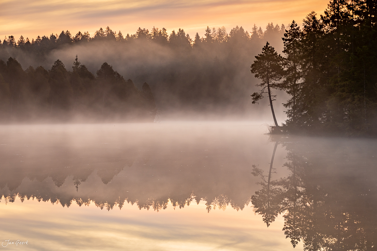 Morgennebel über Moorsee mit Spiegelung Jura Herbst Schweiz – Jan Geerk Fotograf Basel