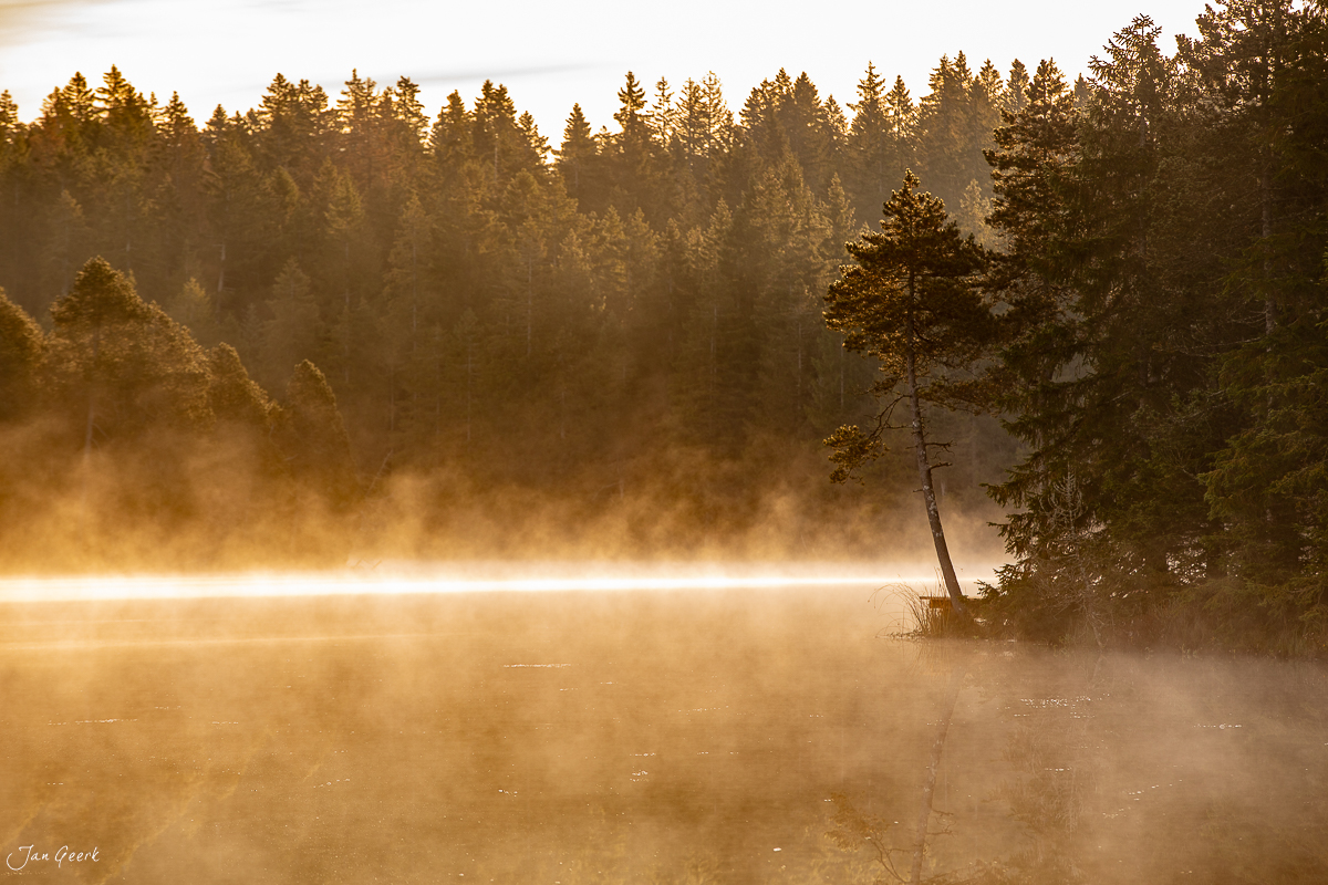 Herbstlicher Moorsee mit Morgennebel und Kantlicht, Tannenwälder im Jura, Schweiz – Jan Geerk Fotograf Basel