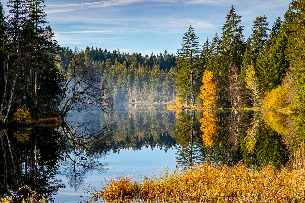 Herbstlicher Moorsee im Jura mit spiegelndem Wasser, Wald und goldenem Morgenlicht, Schweiz – Jan Geerk Fotograf Basel