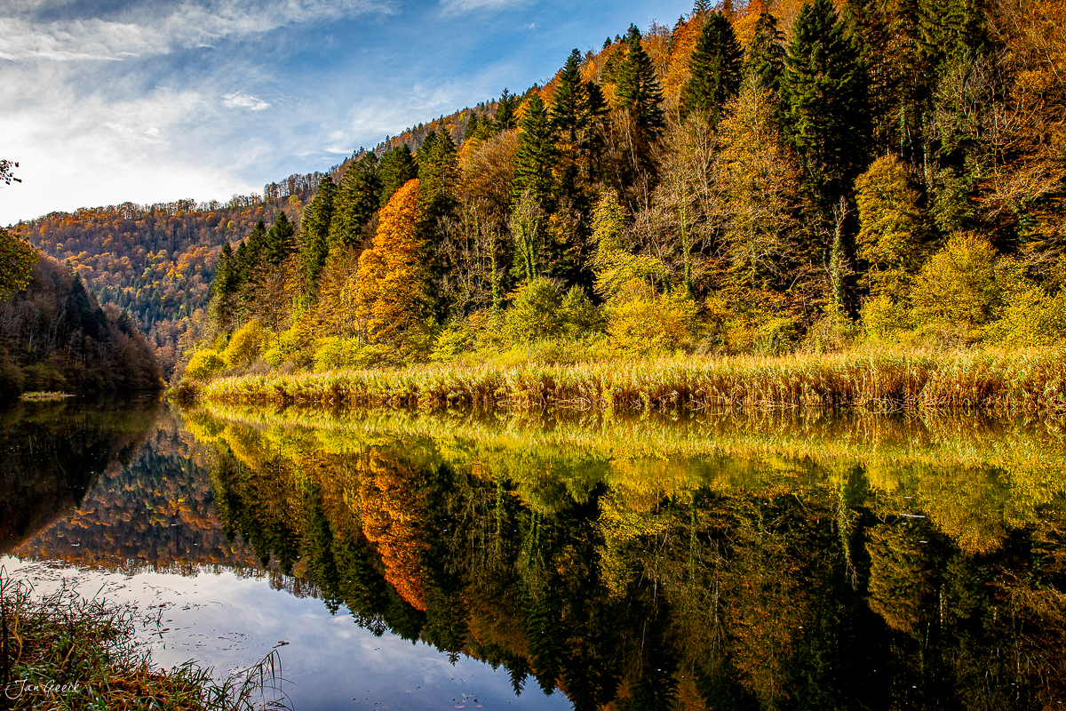 Herbstliche Seereflexion im Jura mit goldenem Laub und Morgenlicht, Schweiz – Jan Geerk Fotograf Basel