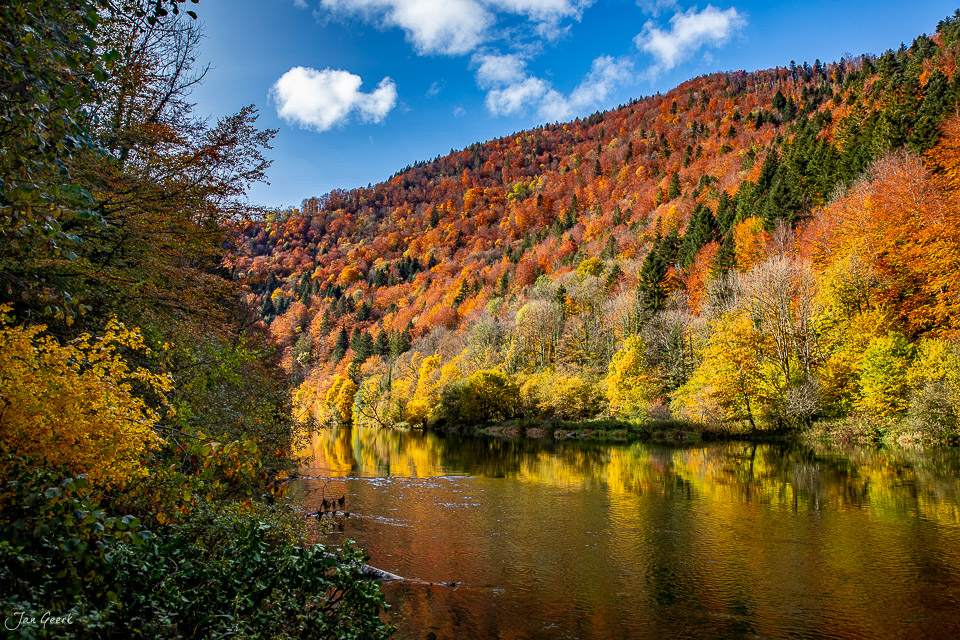 Herbstliche Waldlandschaft am Doubs mit Spiegelung im Fluss, Jura-Region Schweiz – Jan Geerk Fotograf Basel