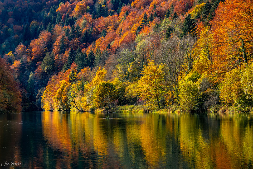Herbstliche Waldlandschaft am Doubs mit goldgelben Bäumen und Spiegelung im Wasser, Jura Schweiz – Jan Geerk Fotograf Basel